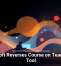 Old Bugs Still Haunt Major Operating Systems